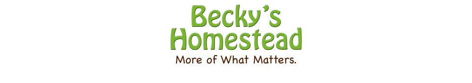 Becky's Homestead