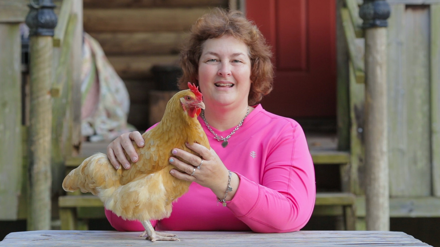 3 Different Chicken Breeds That Make The Best Laying Hens