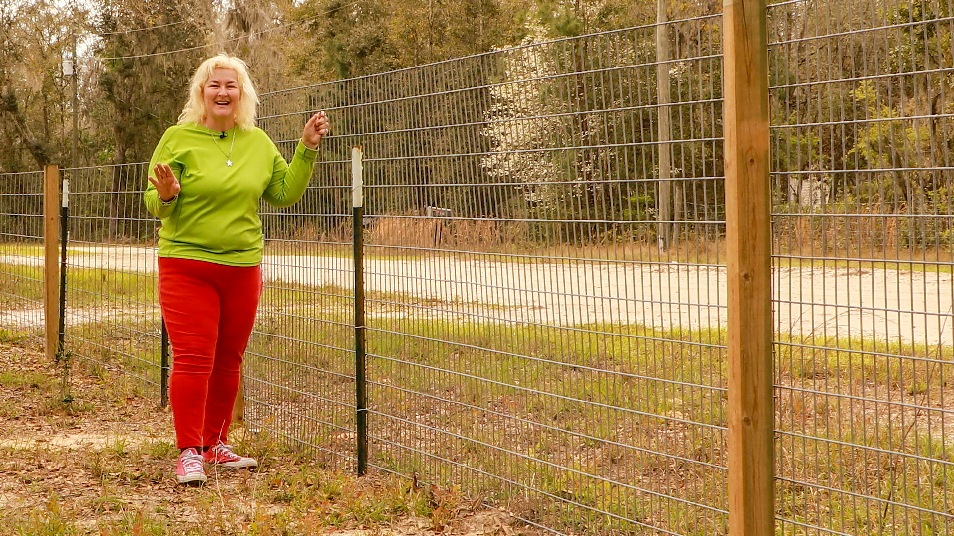 Here’s The Best Livestock Fencing For Your Little Farm