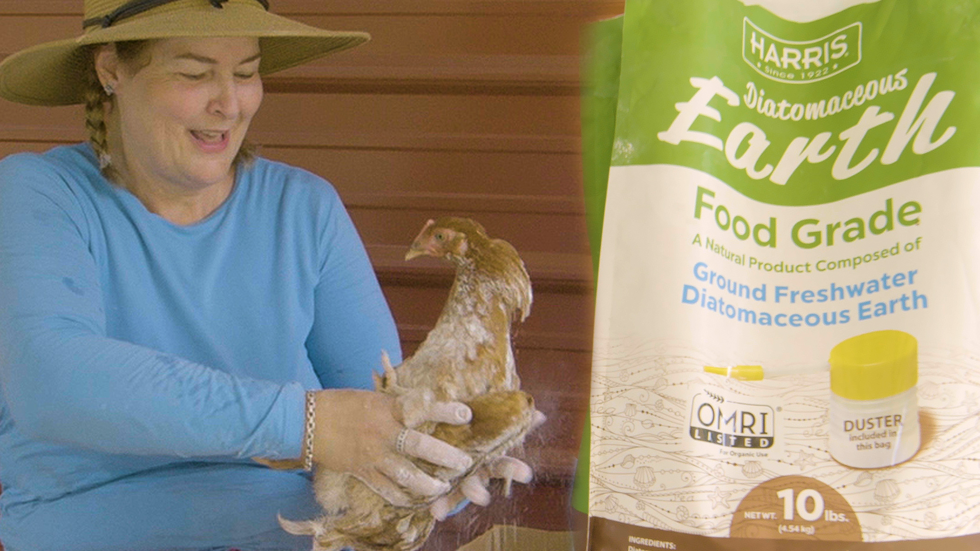 The Best Chicken Mite Treatment You Won’t Believe Is All Natural