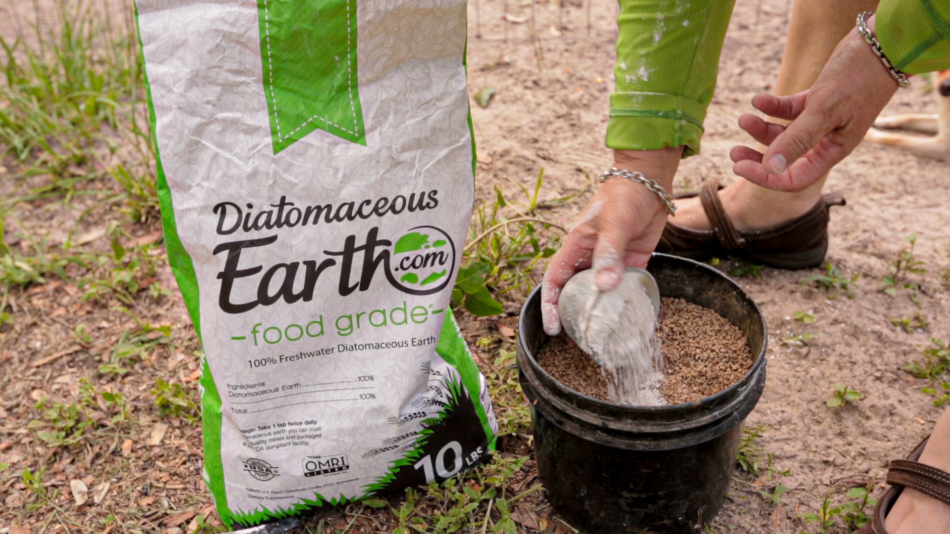 Diatomaceous Earth: where to buy it for the best price.