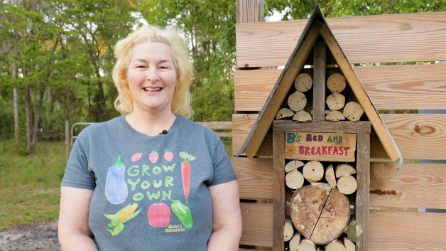 How To Start Beekeeping Without A Beehive