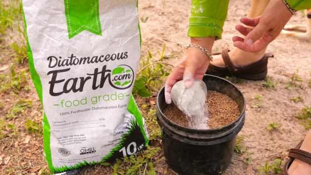 Deworming Your Homestead with DE (diatomaceous earth)